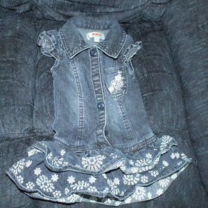 Monkey Bars Denim Dress 12M